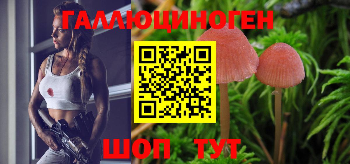 Лангепас  Псилоцибиновые грибы ЛСД  Псилоцибиновые грибы Psilocybine cubensis  Вход с VPN 